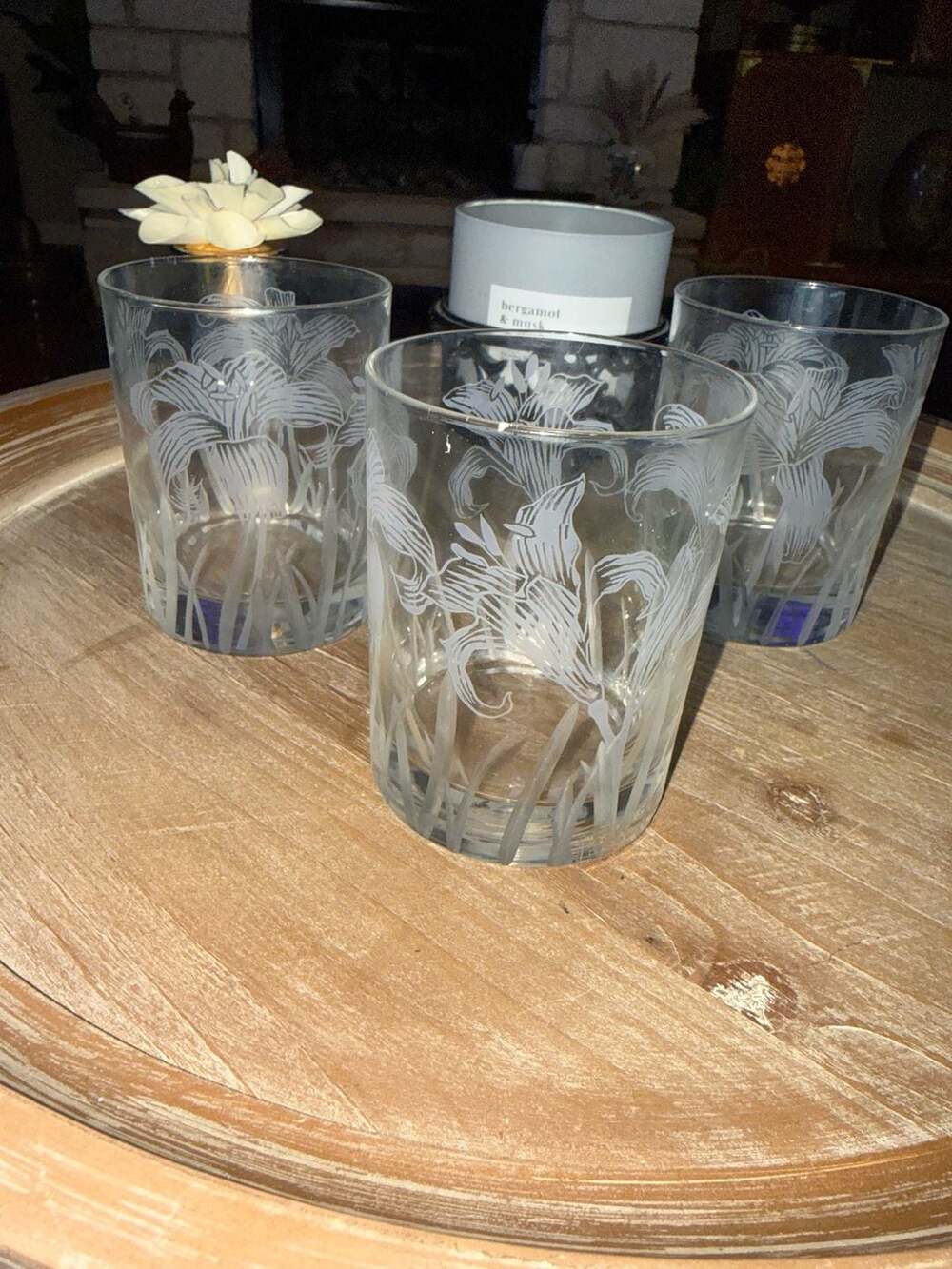 Vintage Tastesetter by Sigma Frosted Etched Lily Barware Glasses Set of 3